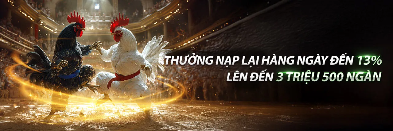 Hình ảnh minh họa Tuân thủ GDPR tại 79kin